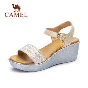 Camel/骆驼 A72153683