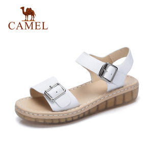 Camel/骆驼 A72882607