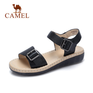 Camel/骆驼 A72882607