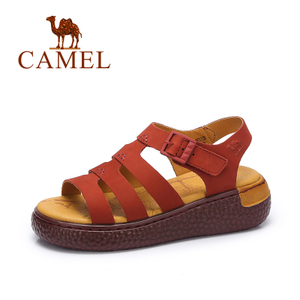 Camel/骆驼 A72354616