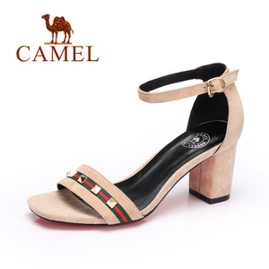 Camel/骆驼 A72515603
