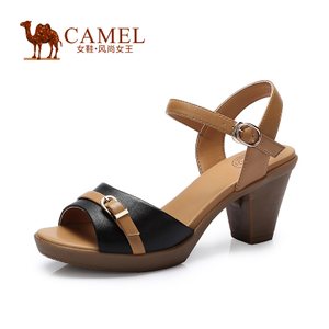 Camel/骆驼 A72029616