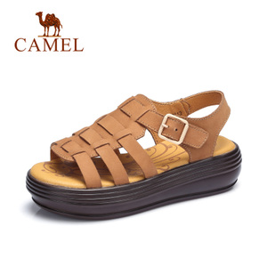 Camel/骆驼 A72354613