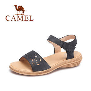 Camel/骆驼 A72053613