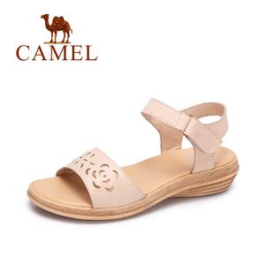 Camel/骆驼 A72053613