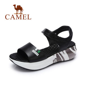 Camel/骆驼 A72504686