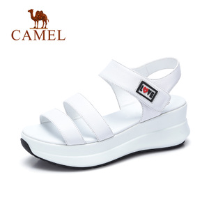 Camel/骆驼 A72504683