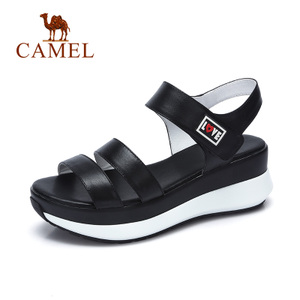 Camel/骆驼 A72504683