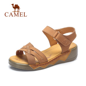 Camel/骆驼 A72354612