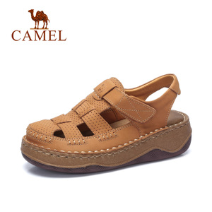 Camel/骆驼 A72354614