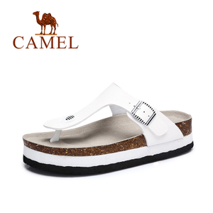 Camel/骆驼 A72226652