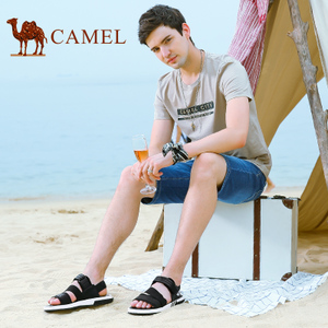 Camel/骆驼 A722252182