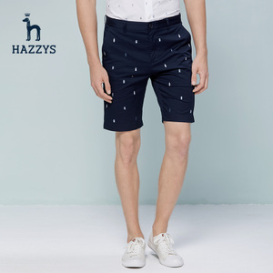 Hazzys ACDZP07BP01