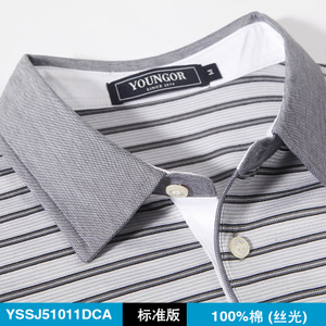 Youngor/雅戈尔 51011DCA