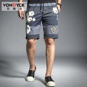 VONDYCK/范戴克 67118