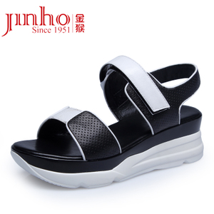 Jinho/金猴 SQ68002A