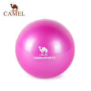 Camel/骆驼 A7S3D7110