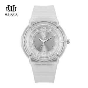 WUSSA Q0-SSI-13WW