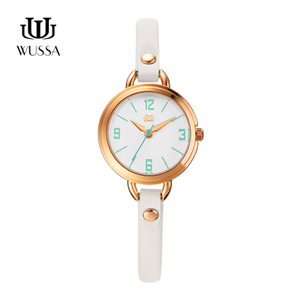 WUSSA Q0-SSW-95GW