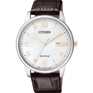 Citizen/西铁城 BM6974-19A