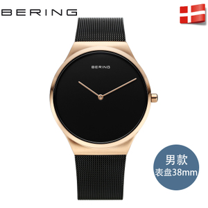 BERING 12138-166