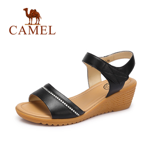 Camel/骆驼 72504692