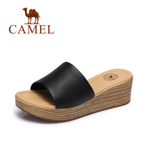 Camel/骆驼 72862684
