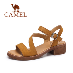 Camel/骆驼 72504695