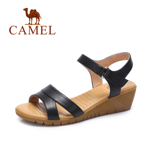 Camel/骆驼 72862682