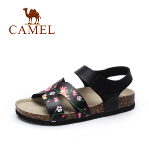 Camel/骆驼 72289612