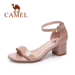 Camel/骆驼 72042612