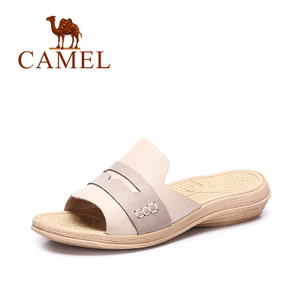 Camel/骆驼 A72195611
