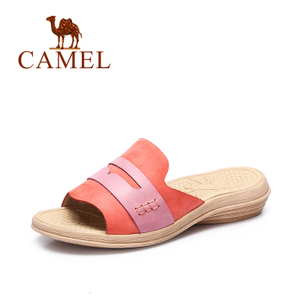 Camel/骆驼 A72195611