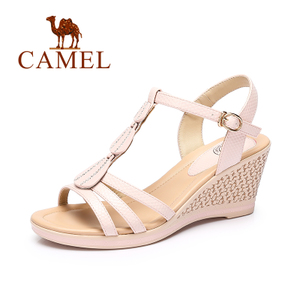 Camel/骆驼 A72504675