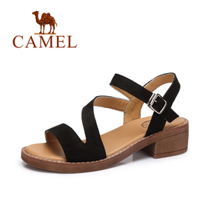 Camel/骆驼 A72504695