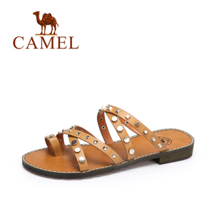 Camel/骆驼 A72296610