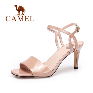 Camel/骆驼 A72042610