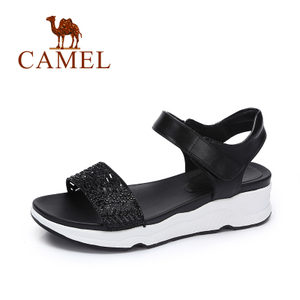Camel/骆驼 A72132678
