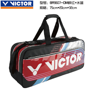 VICTOR/威克多 BR-9607DM