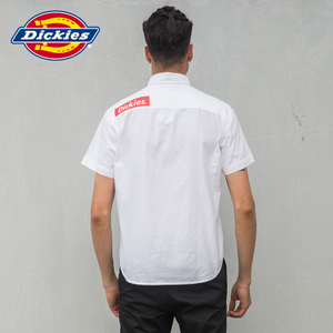 Dickies 172M20EC02