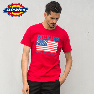 Dickies 172M30EC10