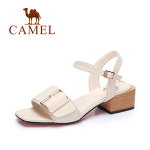 Camel/骆驼 A72515609