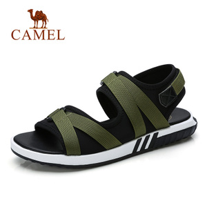 Camel/骆驼 A722259022