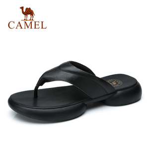 Camel/骆驼 A722259033