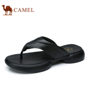 Camel/骆驼 A722259033