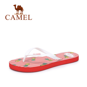 Camel/骆驼 A72226666