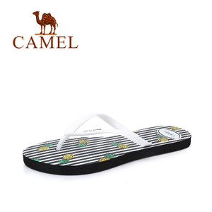 Camel/骆驼 A72226666
