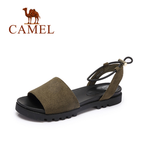 Camel/骆驼 A72025601