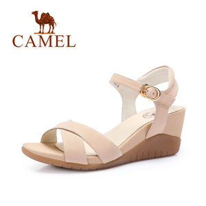 Camel/骆驼 A72196647