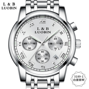 LUOBIN 3189-1